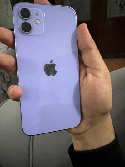 iPhone 12 pta approved
