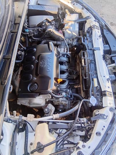 Corolla XLI convert GLI