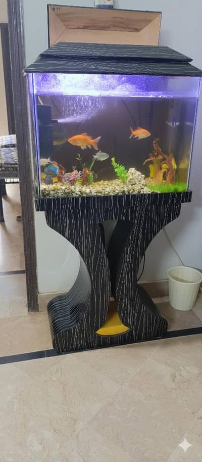 Fish Aquarium