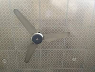 SK ceiling fan