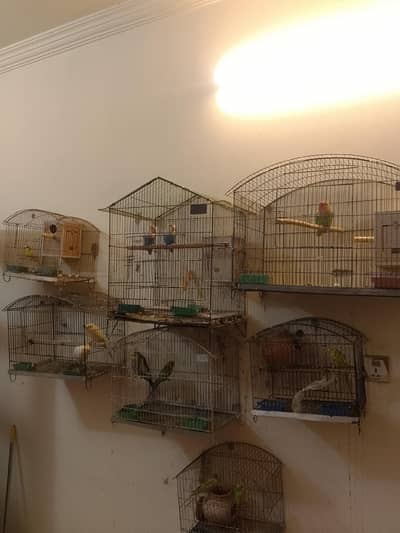7 used cages for sale without birds