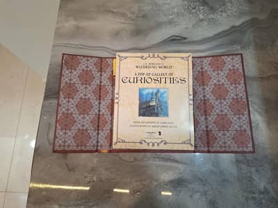 Harry Potter official Disney world pop up book