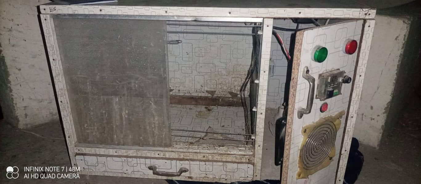 brooder best for chicks 2