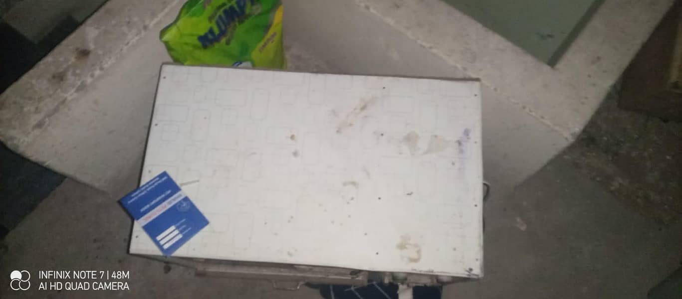 brooder best for chicks 3