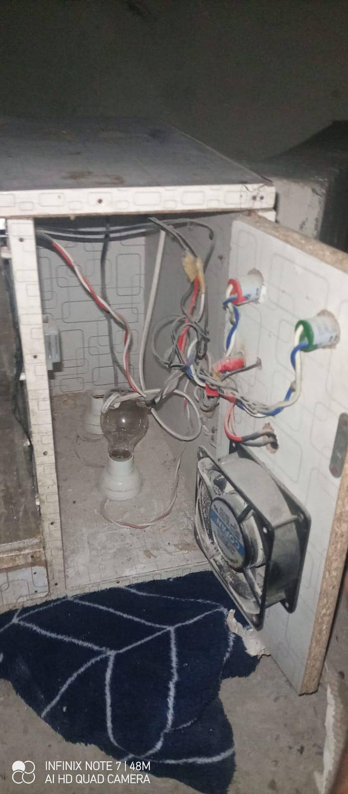 brooder best for chicks 4