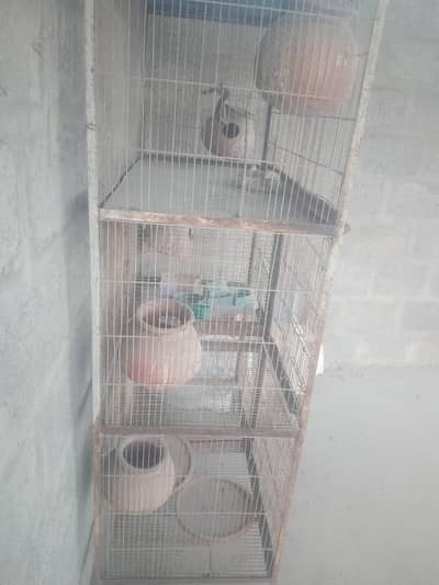 five porsion cage  price 10000