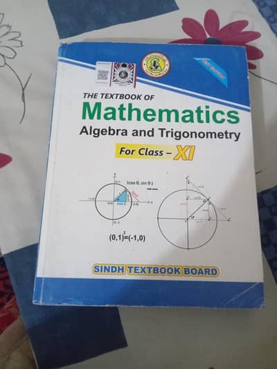 mathematics book sindh board
