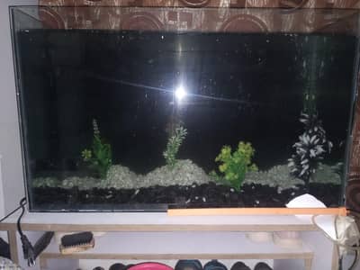 Aquarium for sale urgent