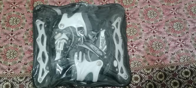 adjustable skating shoes with bag and genuine bolts