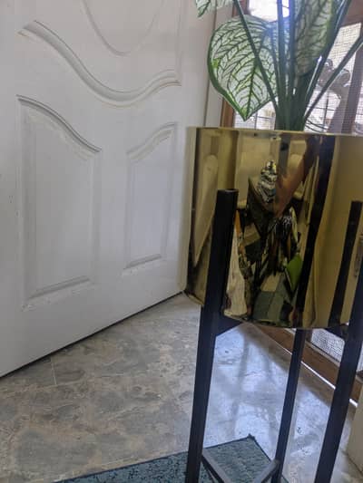 flower plant 10/10 condition