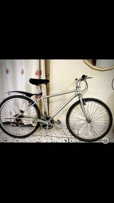 Japanese Bicycle Autorotatable Gear System