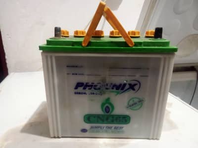 phoenix 11 plates battery