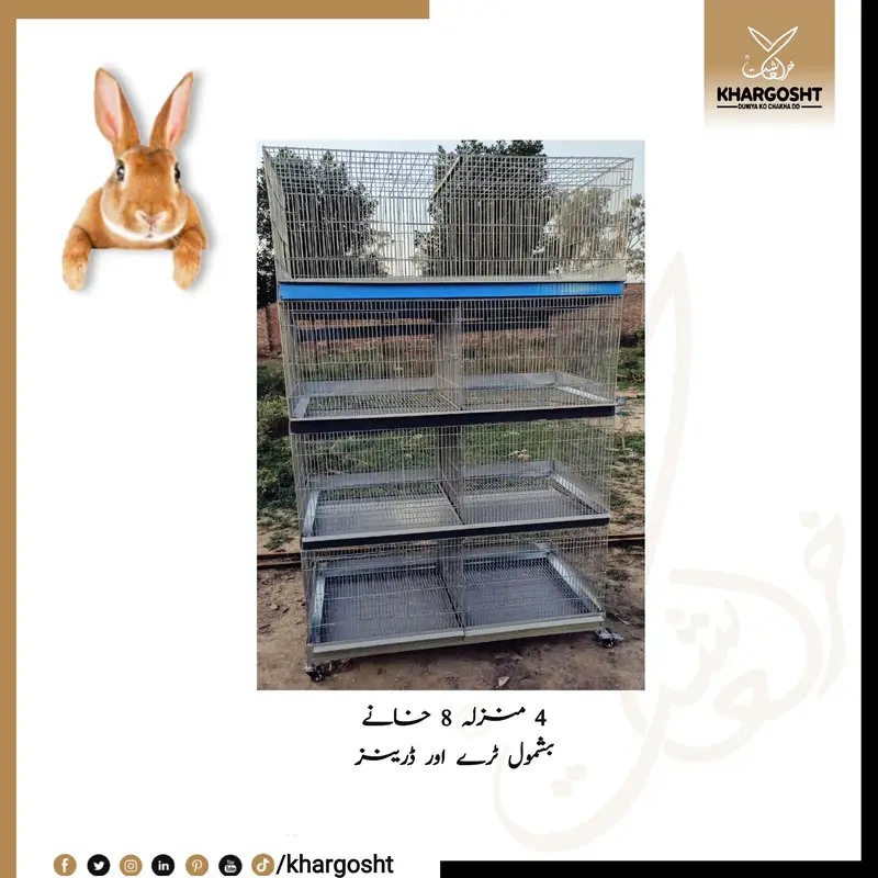 Rabbit Modern Multi Story Cages — photo 2