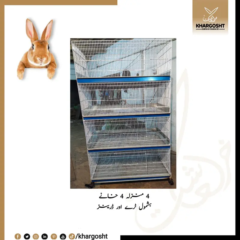 Rabbit Modern Multi Story Cages — photo 3