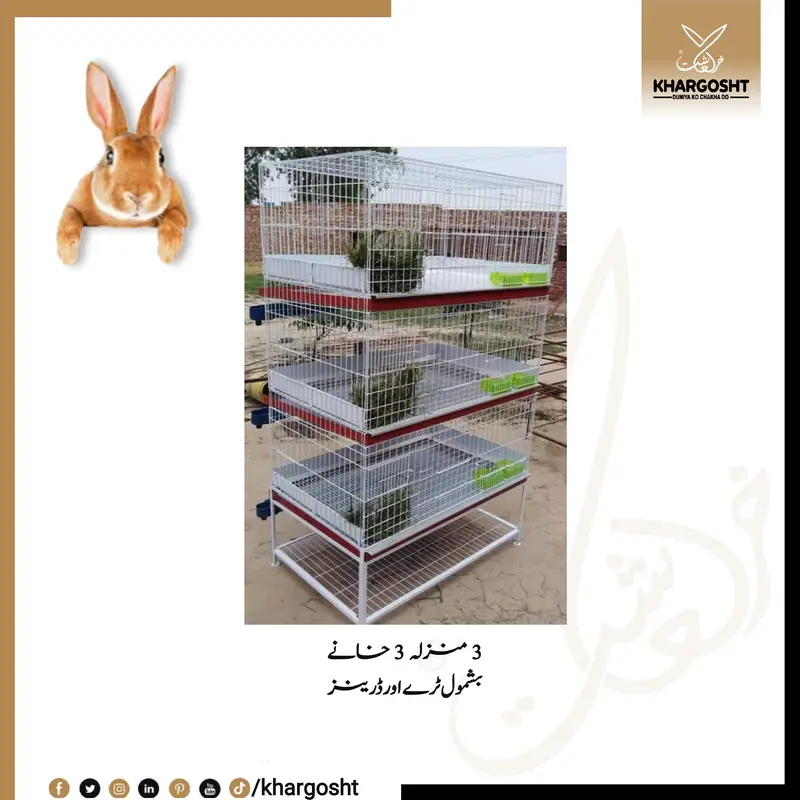 Rabbit Modern Multi Story Cages — photo 4