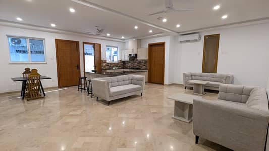 FOR RENT Brand New Luxury Furnished 4 bed Open Basement F_7/1