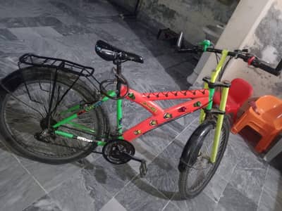 morgen cycle with gayer