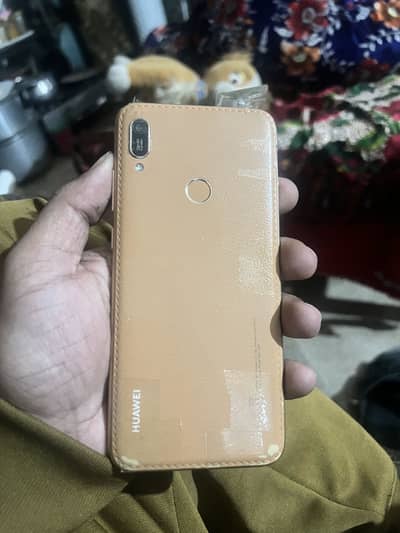 Pta prove ha 03184427228