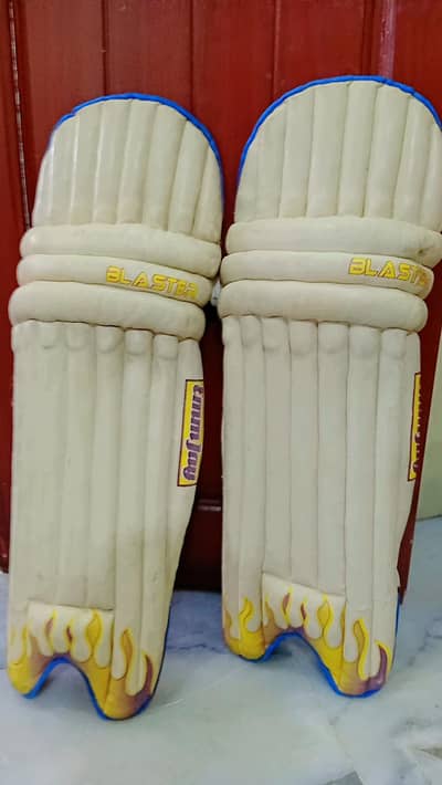 cricket batting Leg pad