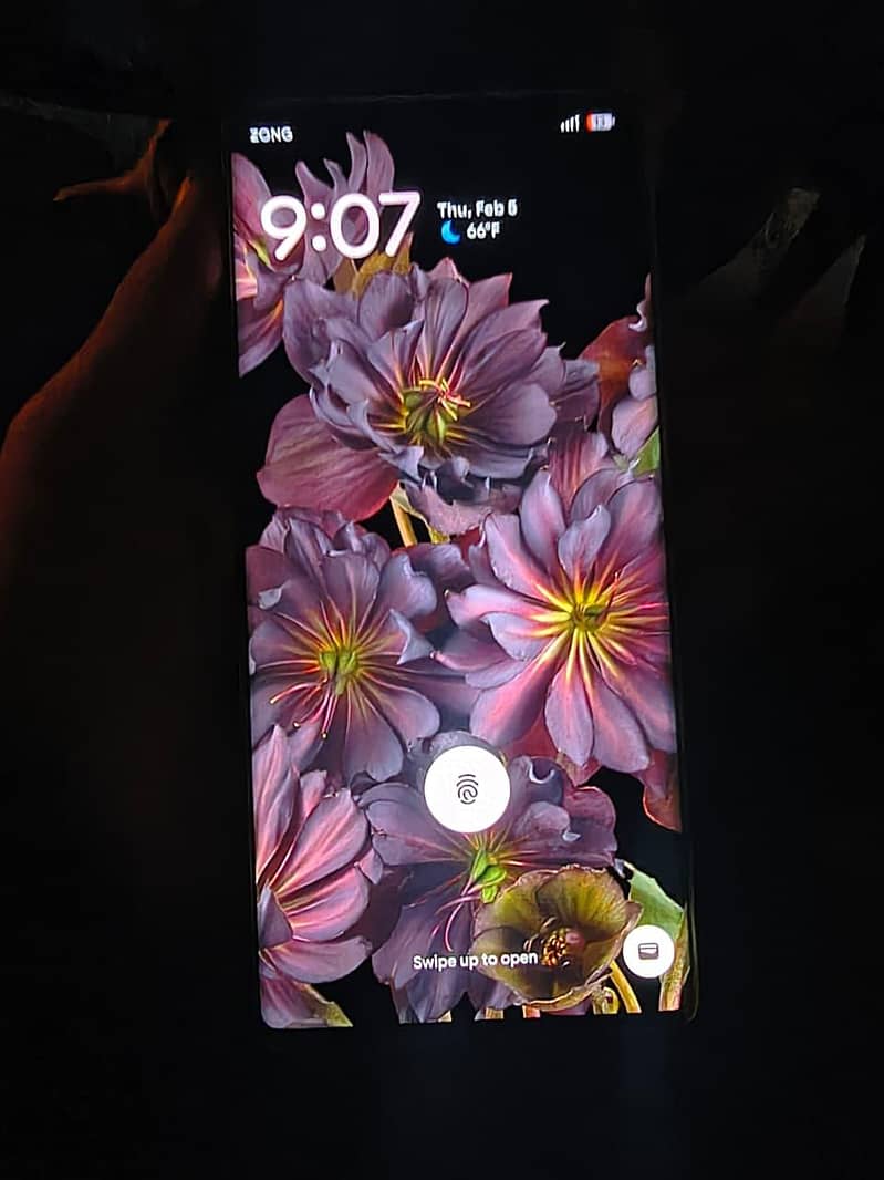 google Pixel 6 pro 1