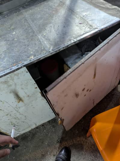 burger shwarma counter