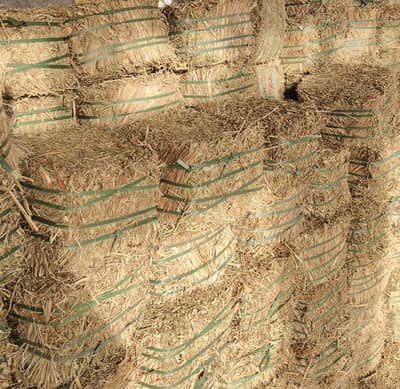 Peanut straw per 40kg