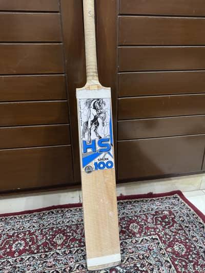 Kashmir willow professional hs cricket bat