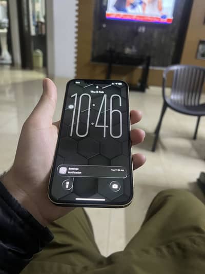 Iphone 12 pro max pta approved