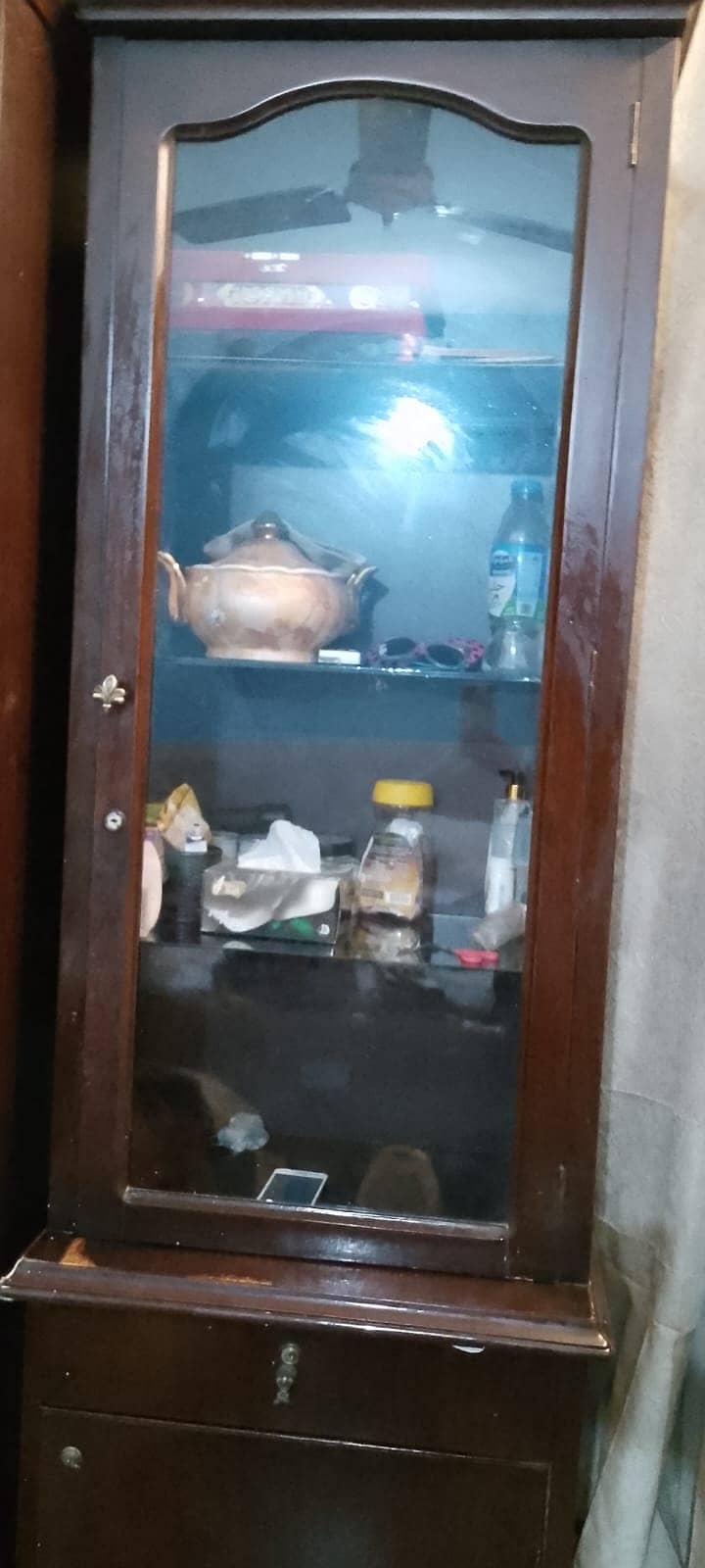 showcase (divider) 1