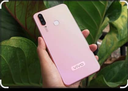 vivo 17