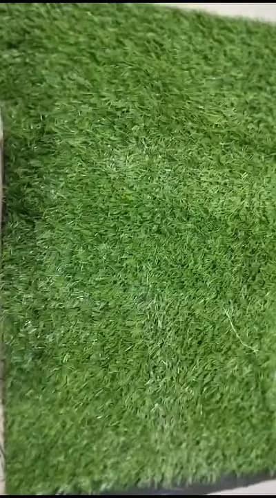 Artificial Grass