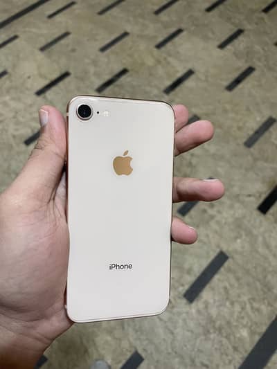 Iphone 8 pta approved