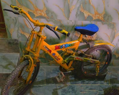 Sports Bicycle Child