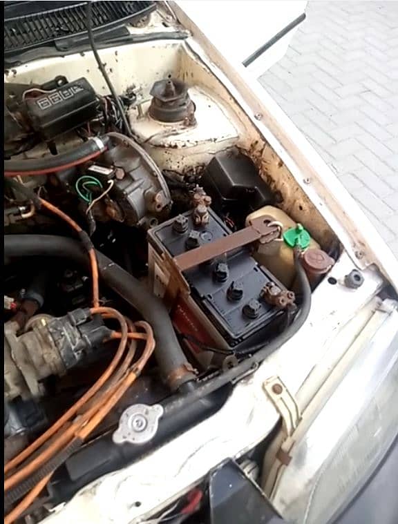 Margalla - 100% Solid Inside & Outside 9