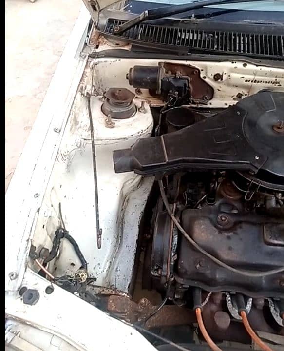 Margalla - 100% Solid Inside & Outside 11