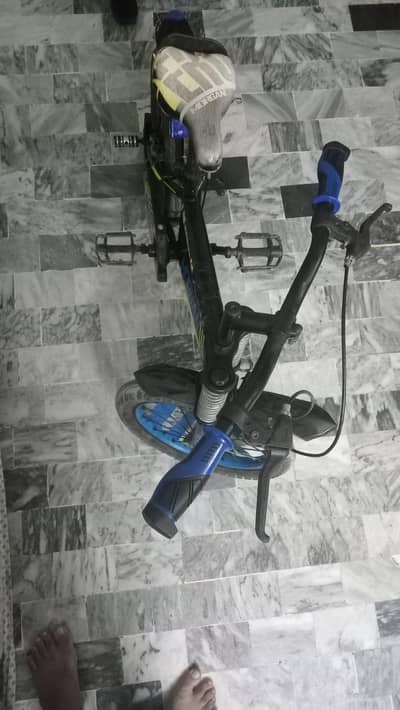 KIDS BICYCLE 12000