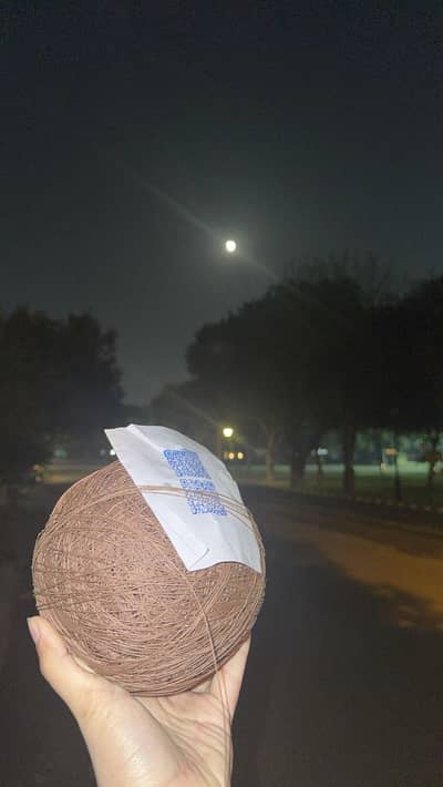 Pinna and kites for sale