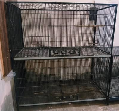 Gray parrot cage + stand