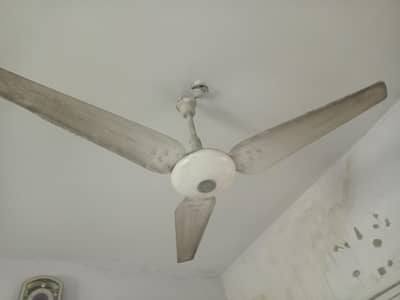 Two ceiling fans