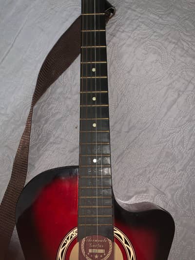 Brand Guitar In Low Budget