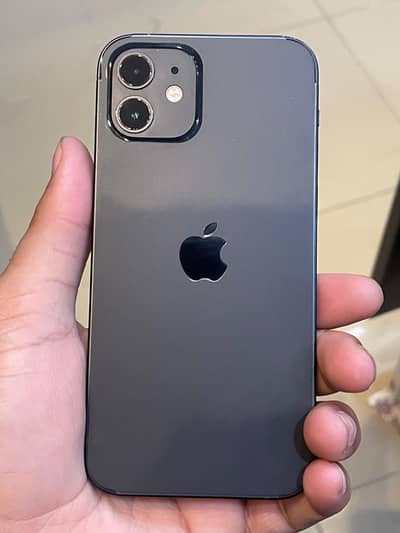 iphone 12 (lush condition)