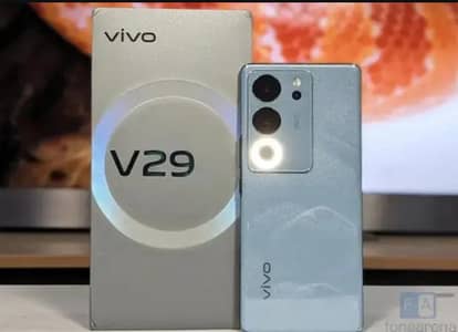 vivo v29