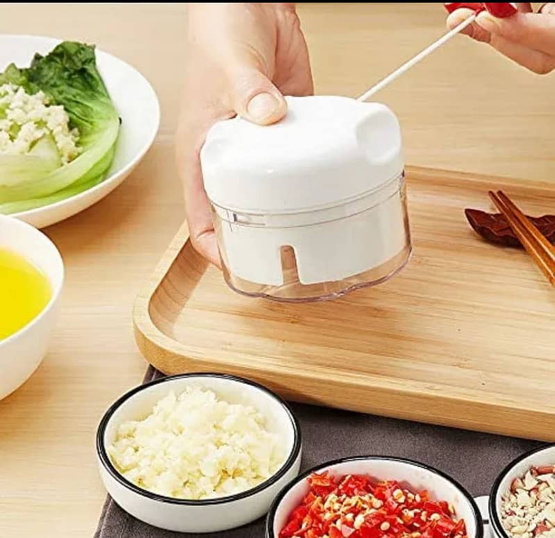 Vegetables Chopper 1