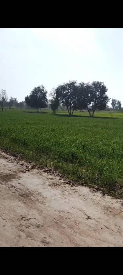 کوئی بھی کاروبار کرنے کے لیے بہترین جگہ ہے فارم ہاؤس کے لیے بہت بہترین