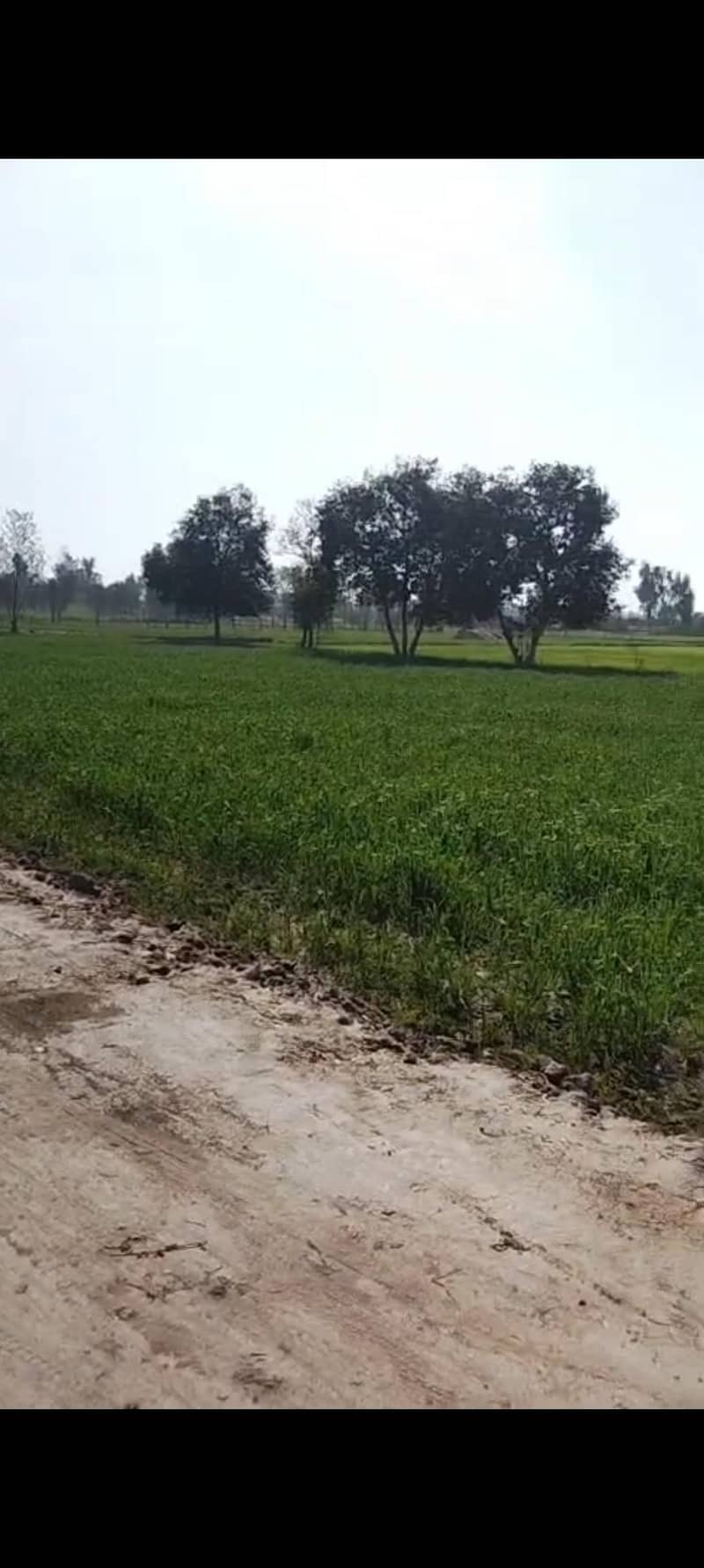 کوئی بھی کاروبار کرنے کے لیے بہترین جگہ ہے فارم ہاؤس کے لیے بہت بہترین 0