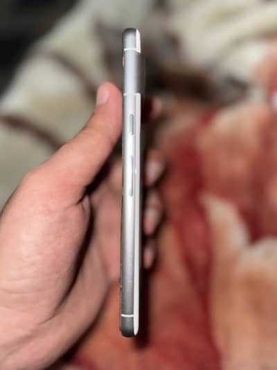 Google pixel 7 pta Approved