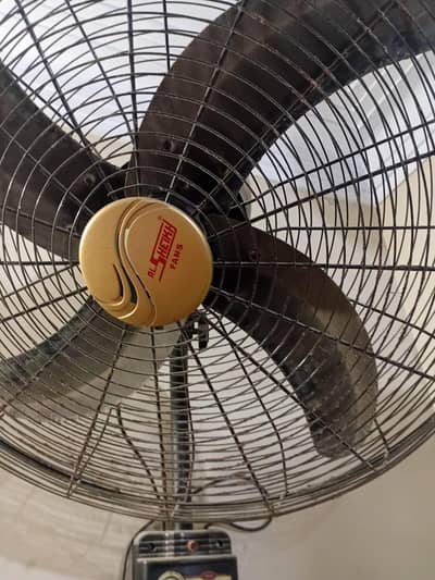 Al Shaikh Ka Wall Fan