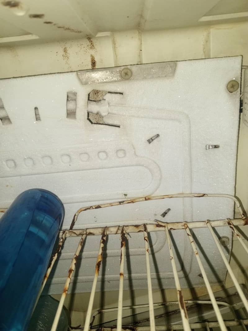 pel fridge extra medium 1