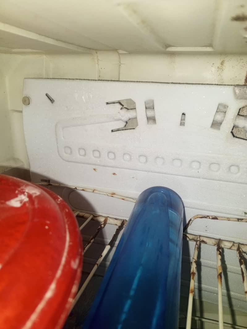 pel fridge extra medium 2