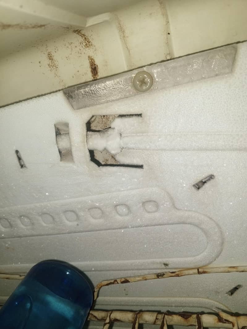 pel fridge extra medium 3